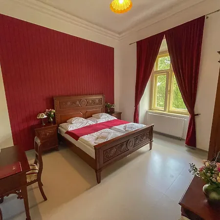 Klaster ホテル Želiv